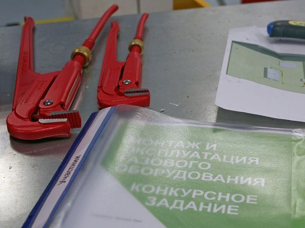 mosoblgasskills2017_3